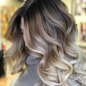 Balayage and Highlighting Techniques Course
